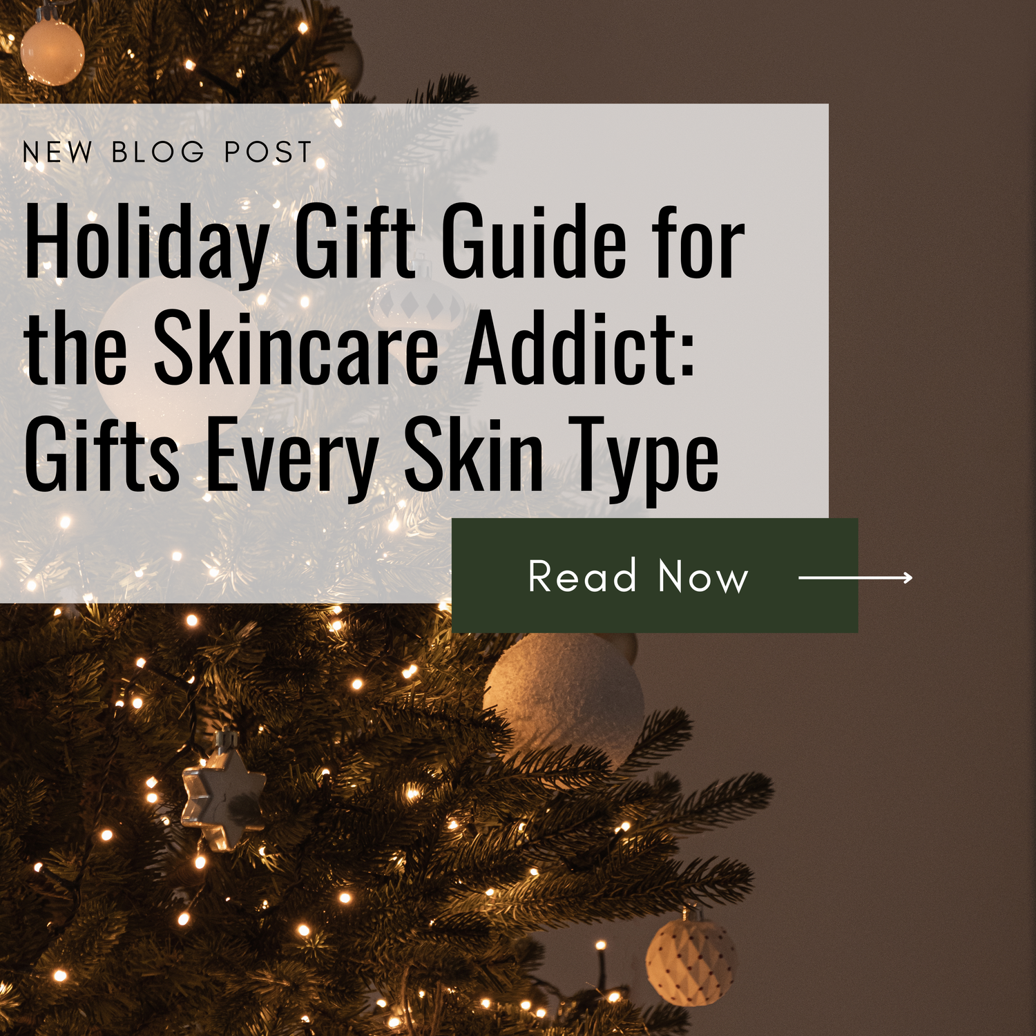 Holiday Gift Guide for the Skincare Addict: Gifts Every Skin Type