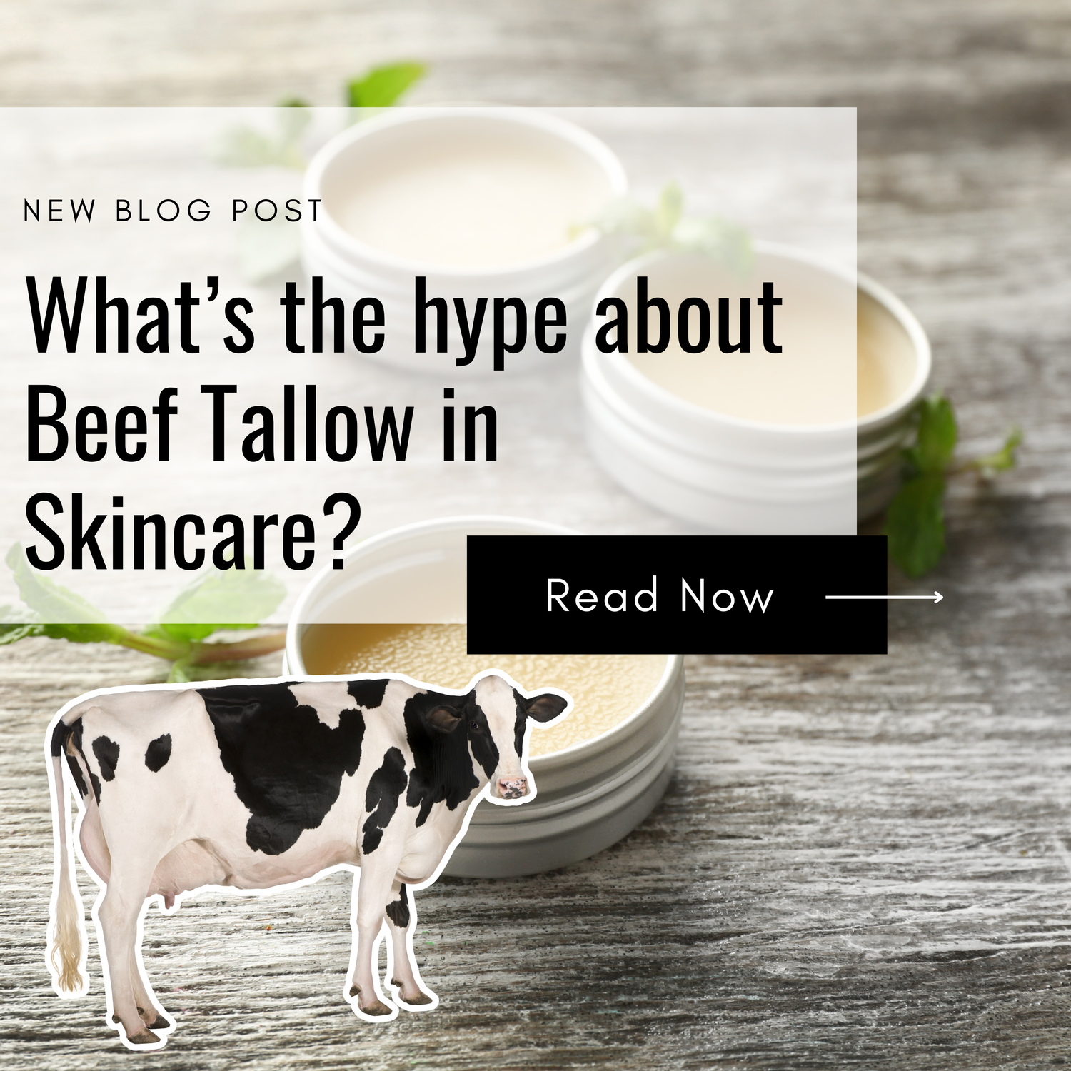 The History of Beef Tallow in Skincare: A Deep Dive